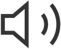 Computer audio icon