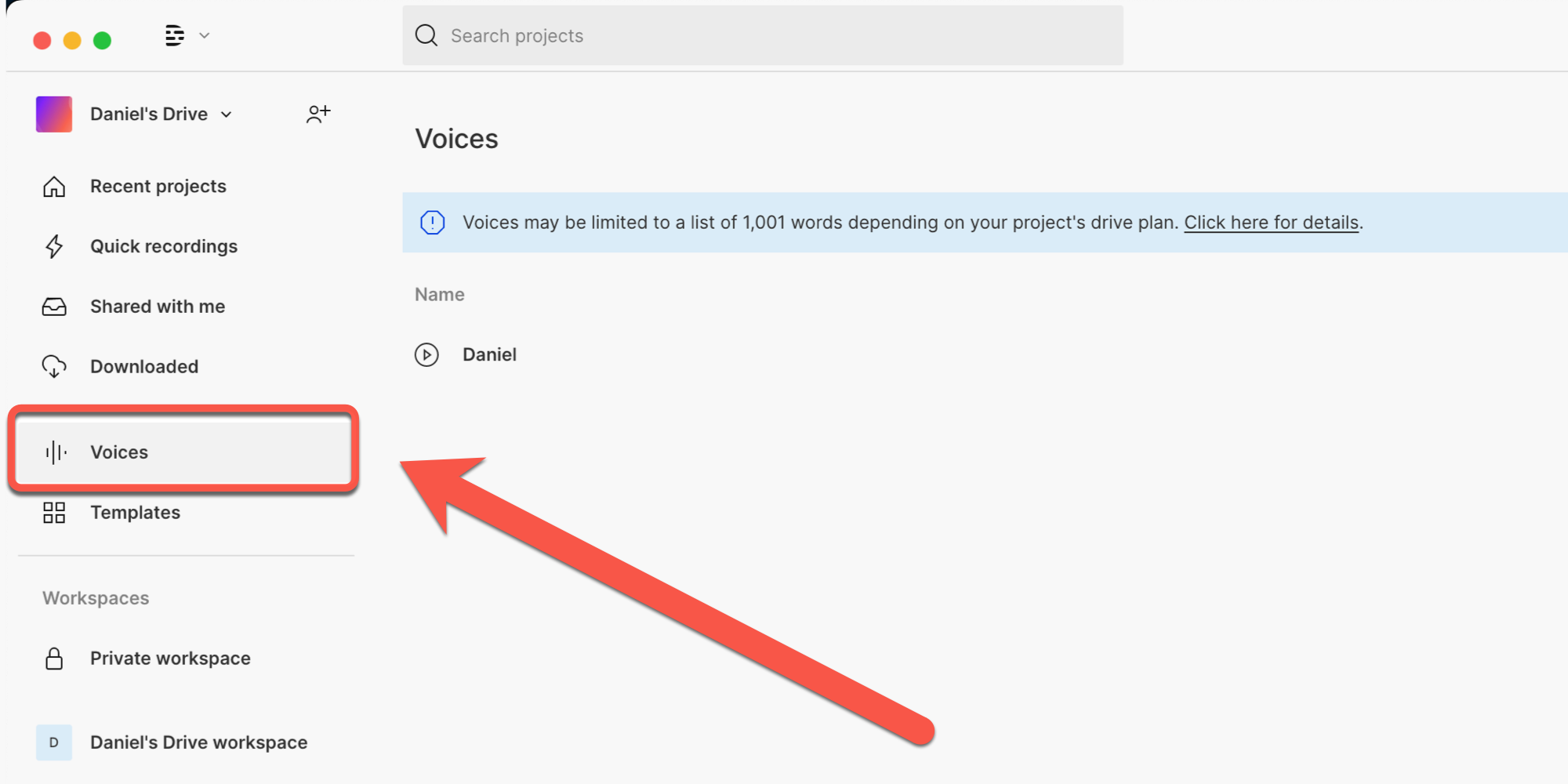 Screenshot of Drive view with red arrow pointing to Voice tabe