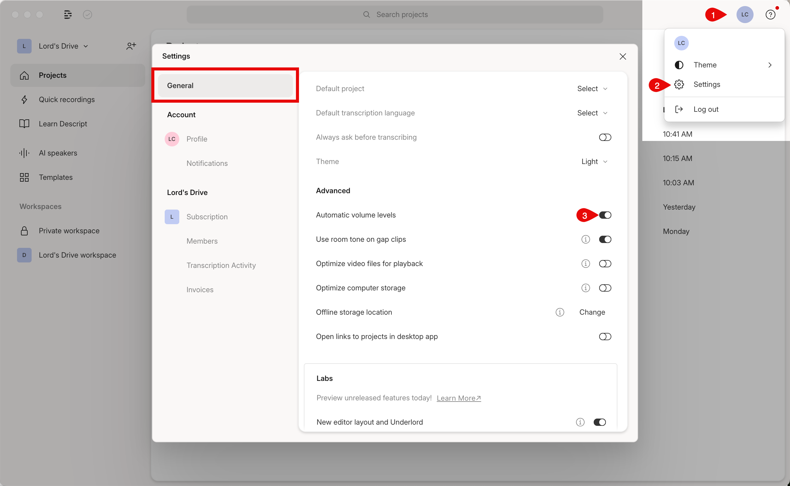 App settings with automatic volume levels toggle