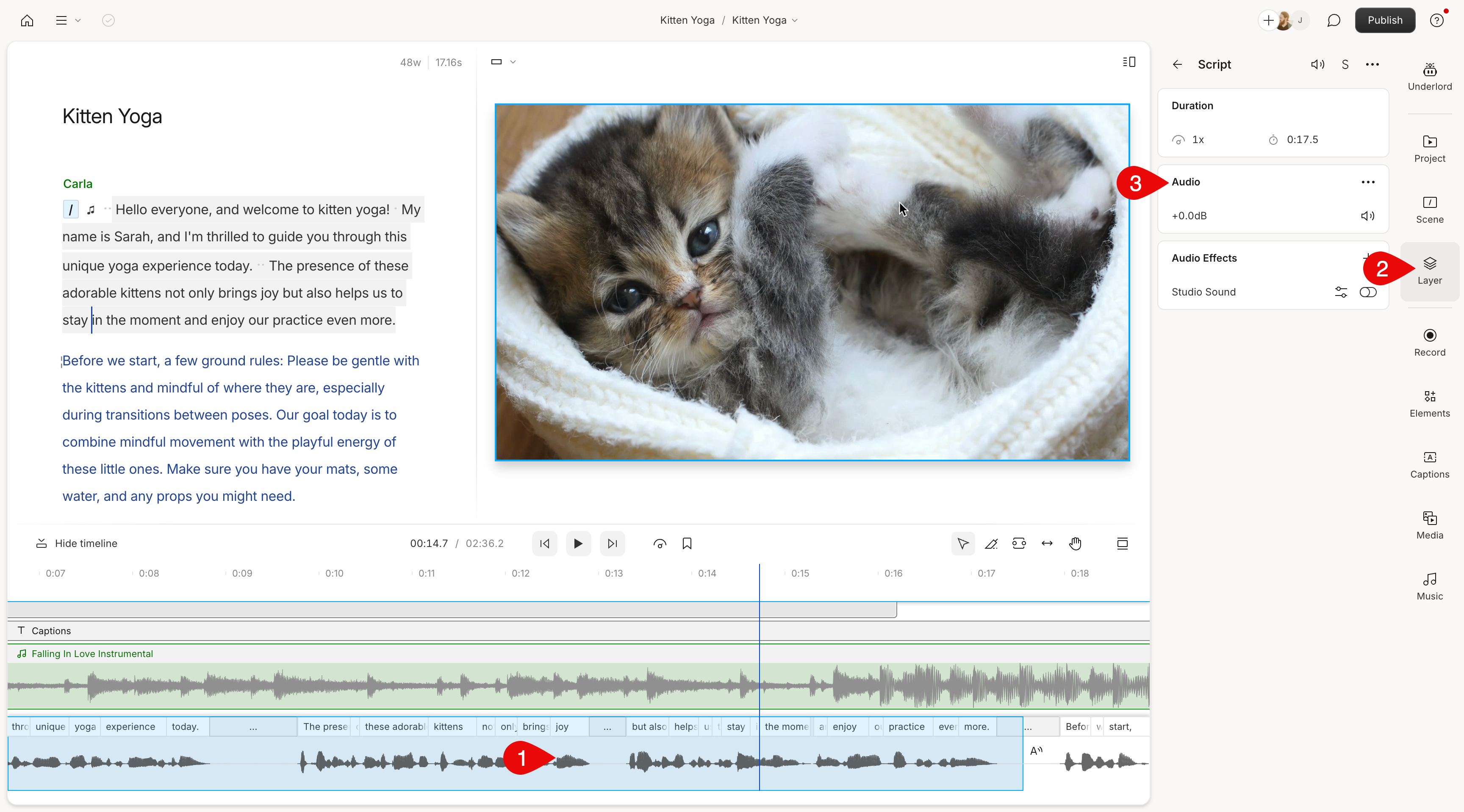 Volume adjustment slider in Layer panel.