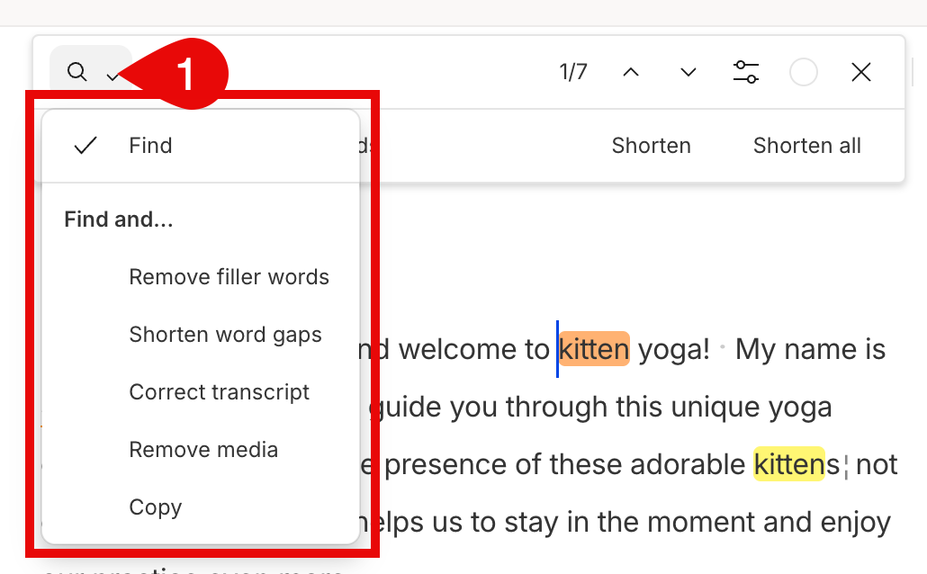 Find and… dropdown open with options displayed