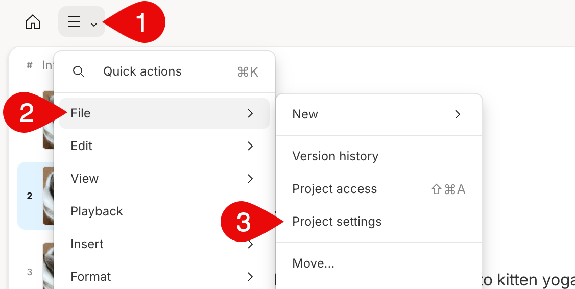Project settings – Descript Help