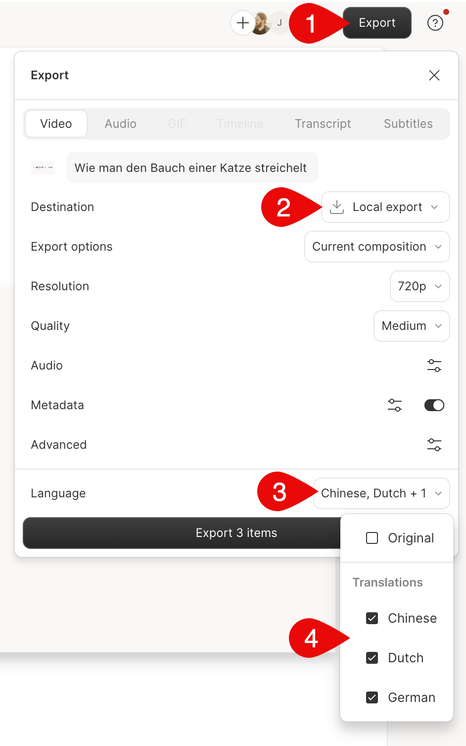 Export multiple translations