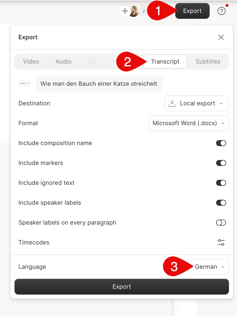 Export subtitle or transcript