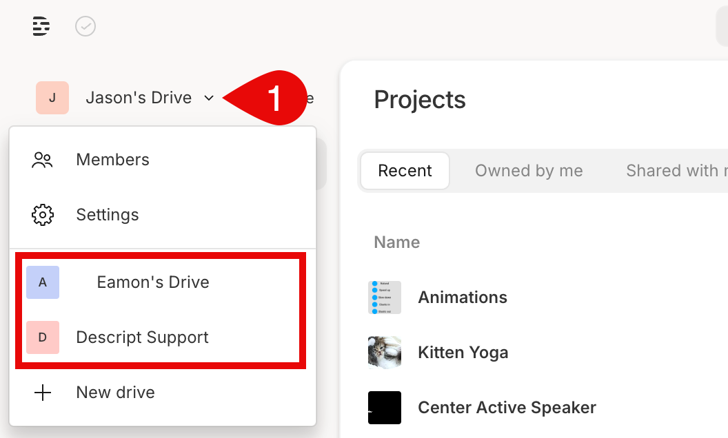 Drive dropdown menu showing multiple Drives.