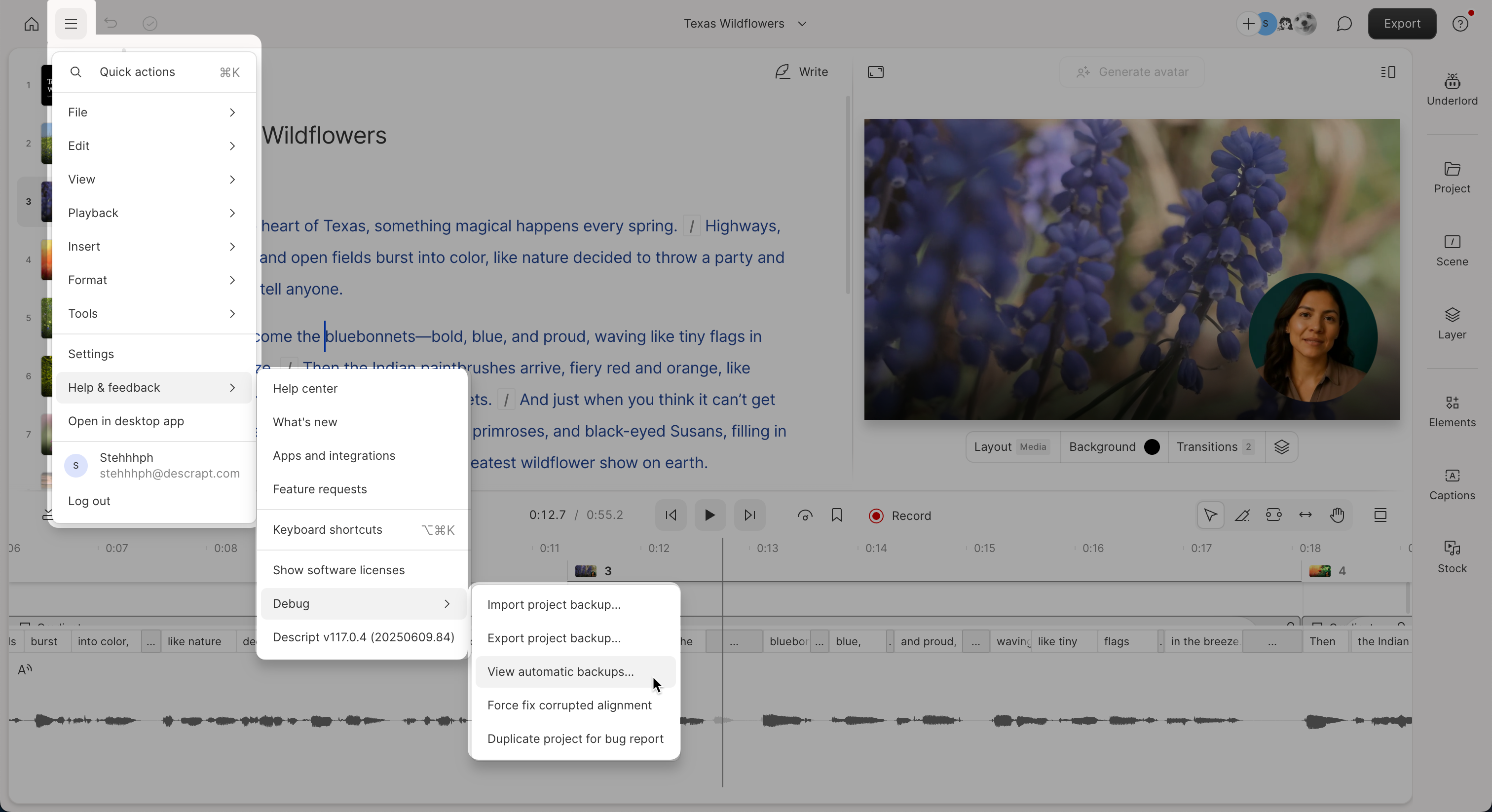 Automatic backups in Descript debug menu