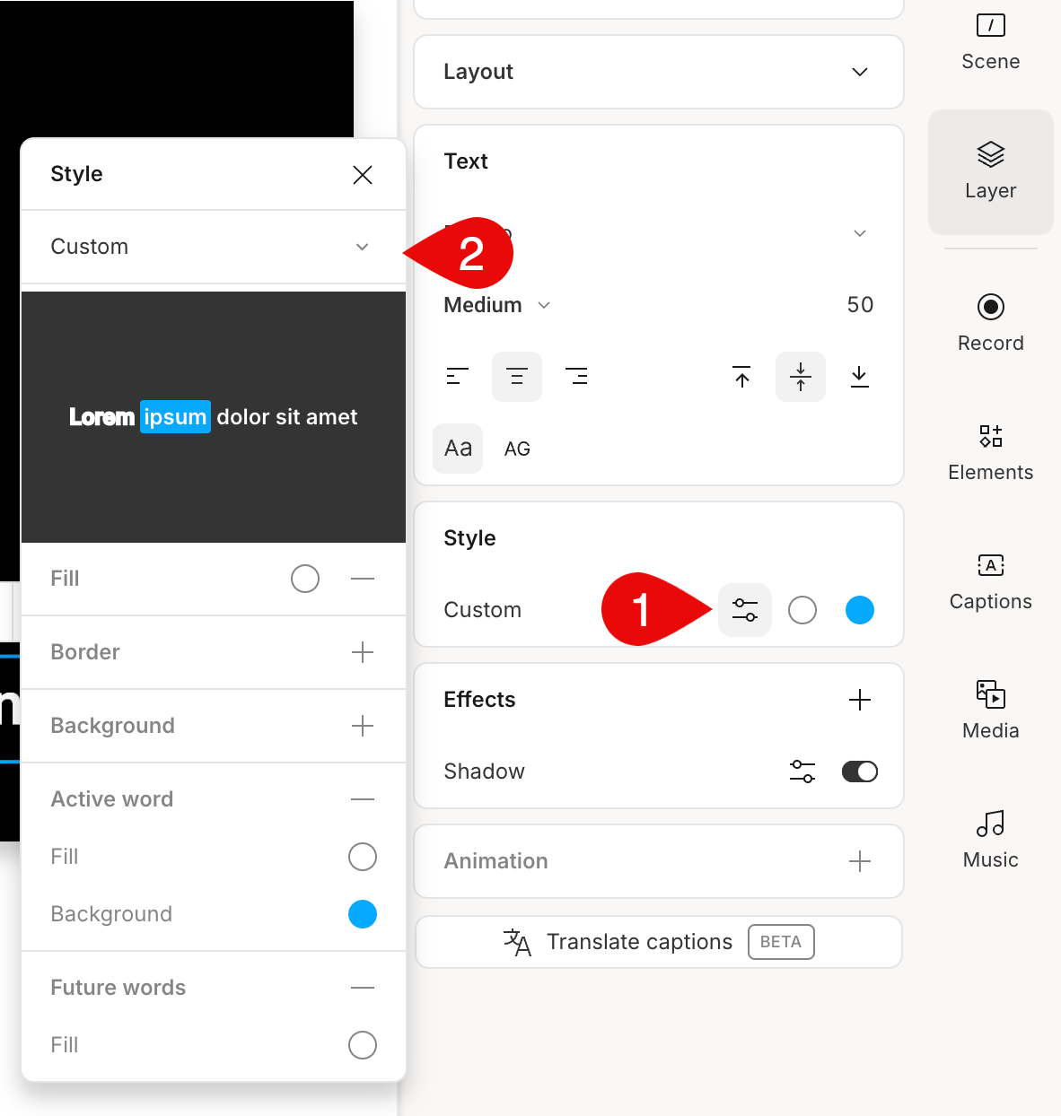 Style panel showing text and color settings for captions