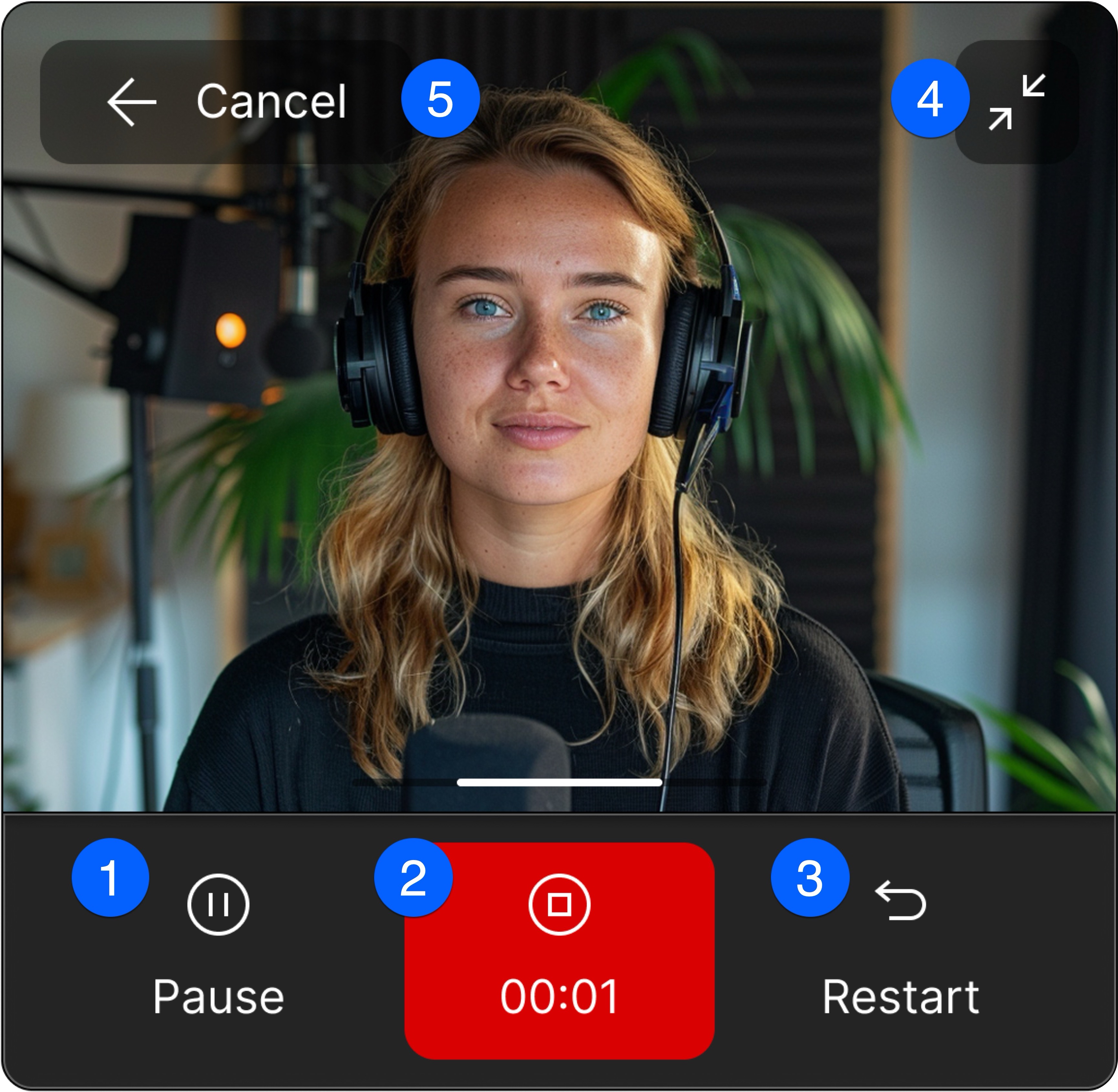 Screen Recorder dock in Descript