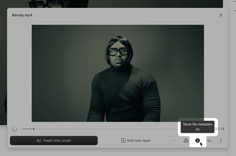 View file metadata button in Descript