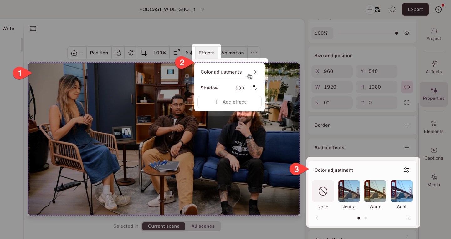 Color preset thumbnails in the Color Adjustments panel